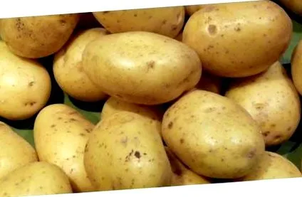 egészséges egészséges