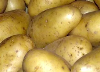 burgonya