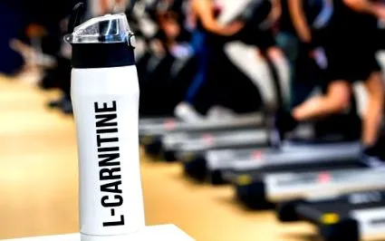 l-carnitine
