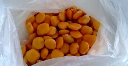 lupini