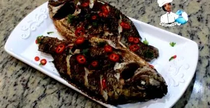 tilapia