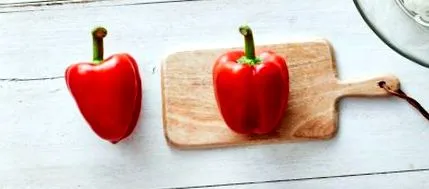 tippek paprika