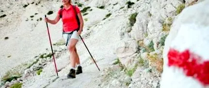 grăsimea