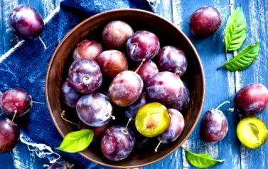 prune rețete