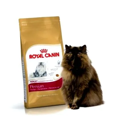 canin