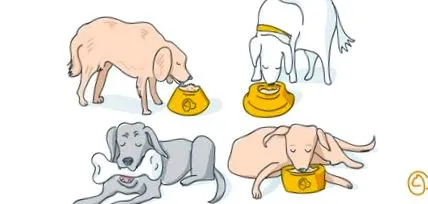 uscată