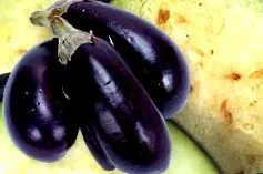 gombă
