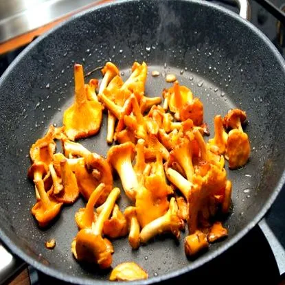 rókagomba pácolt
