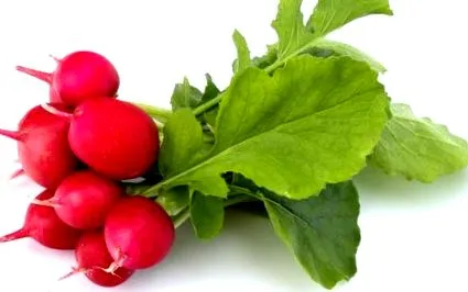 radish