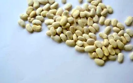 zöldségekkel