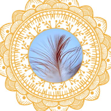 sesiunea