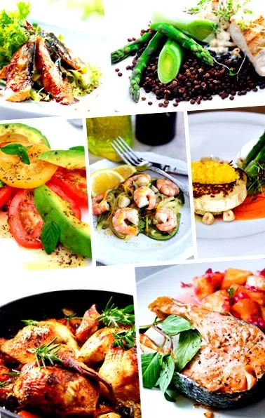 alimentelor
