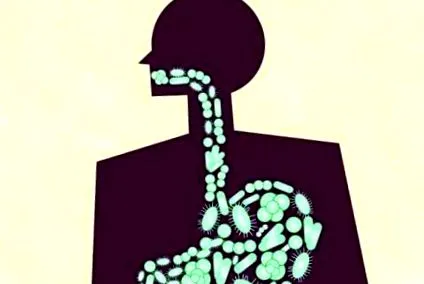 microbiomului