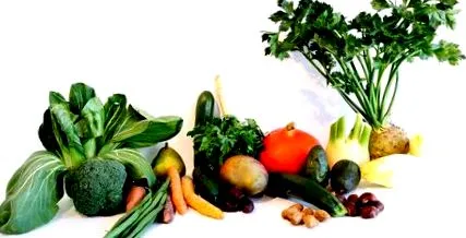 vegetáriánus