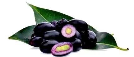 blogul