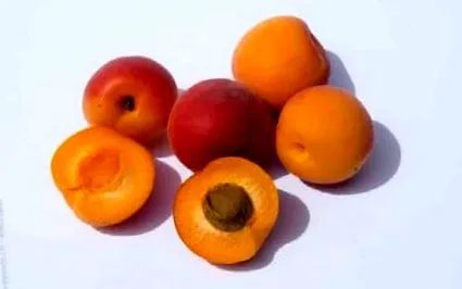 torta mandula