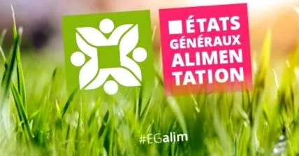 élelmiszer