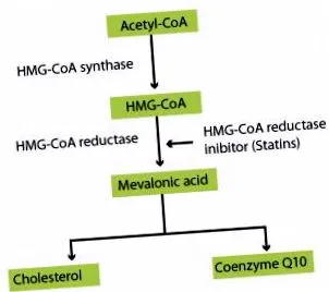 ubiquinone