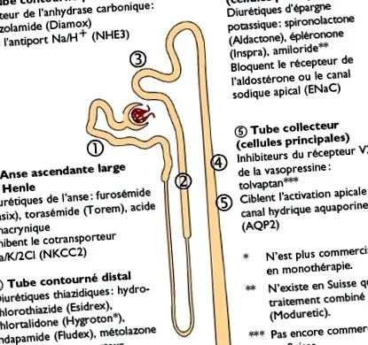 medicul
