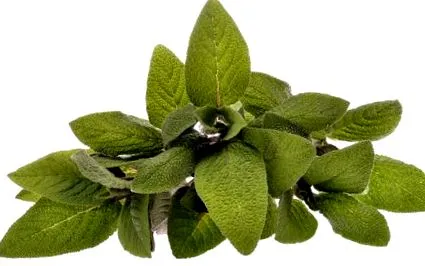 gătindu-l