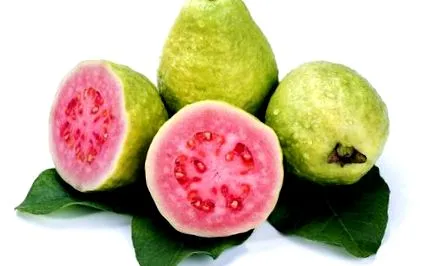 guava-t