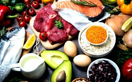 foodvisor