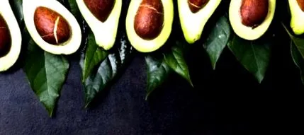 nutriție