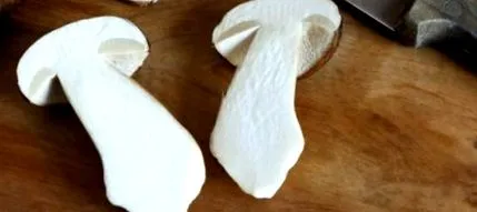gombában