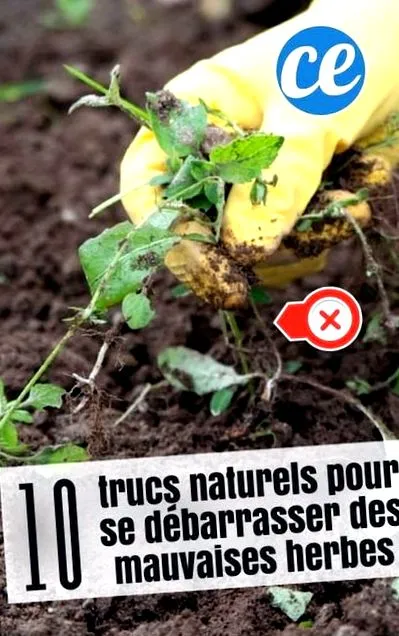 végül