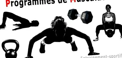 program