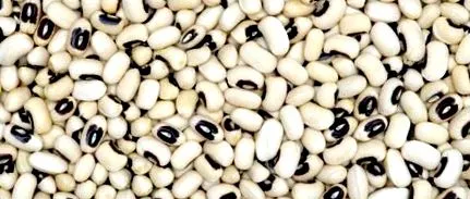 calorii