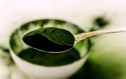 Chlorella ideális méregtelenítő