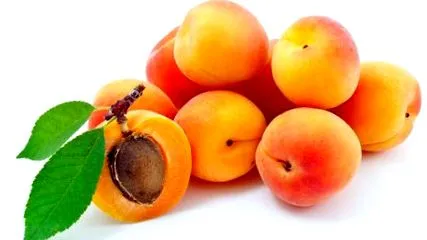 fructul