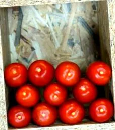 mediterraneanbox