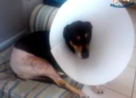 segíthetek