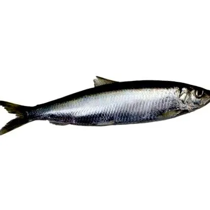 време