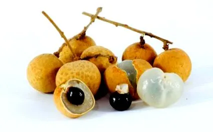 longan
