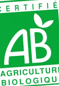 organică