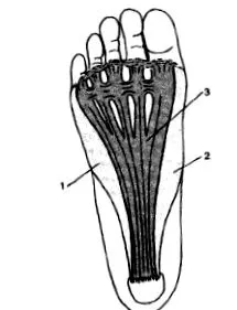 calvarul