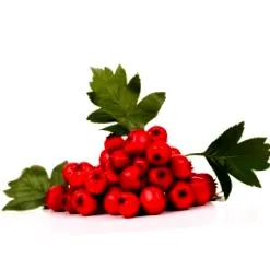 китайський