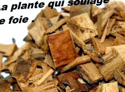 adagolása
