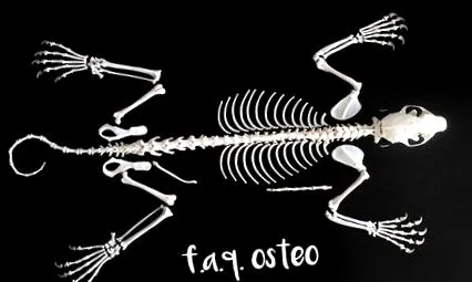 szerelvények
