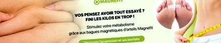 magnetic szállítás