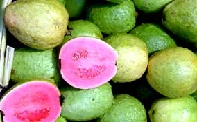 guava kalória