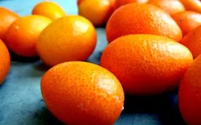 kumquat kumquat