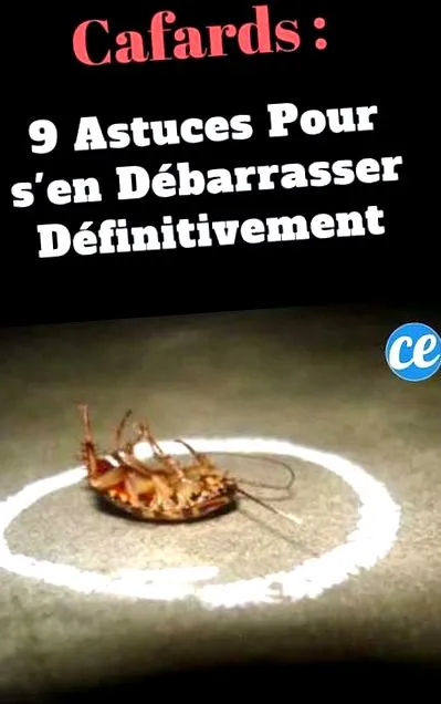 tipp végül