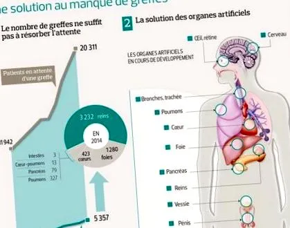 artificiale