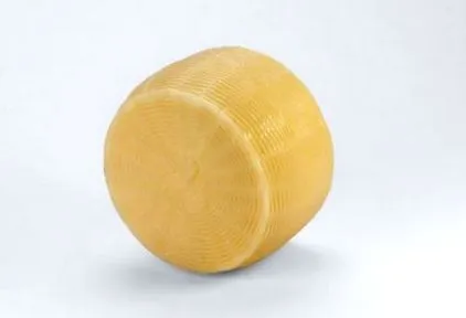 caciotta caciotta