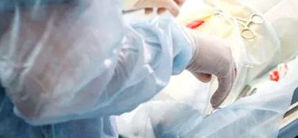 Macska sterilizálás