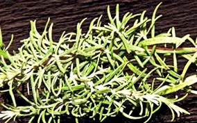 calorii calorii cantitate